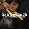 Guía de la musculación parte 1