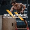 Guía de la musculación parte 2