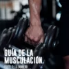 Guía de la musculación parte 3