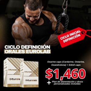 CICLO DEFINICIÓN NIVEL 2 – (ORAL)